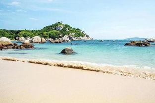 惠州巽寮湾新闻爆料热线,聚焦湾畔动态，倾听民声心声  第2张